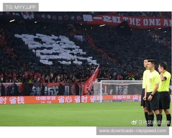 裁判争议判罚改变战局，足协评议确认蓉城遭遇误判